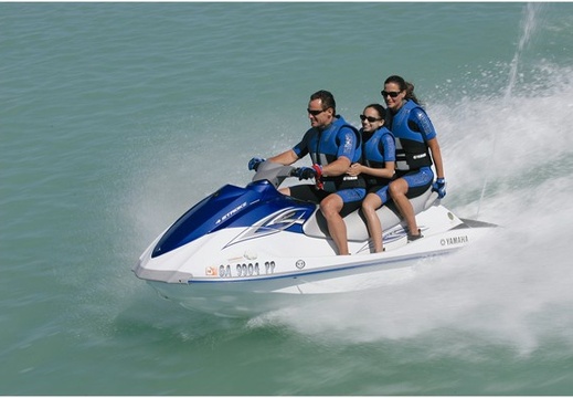 2008 vx