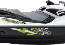 FZS SVHO