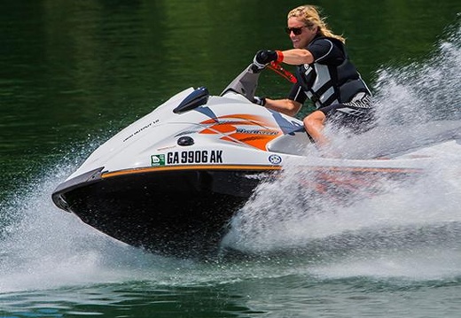 V1 SPORT